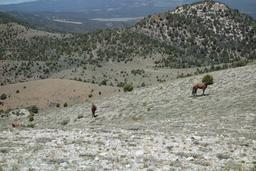 The trail engineers [sat may 27 13:58:57 mdt 2017]